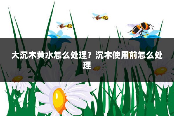 大沉木黄水怎么处理？沉木使用前怎么处理