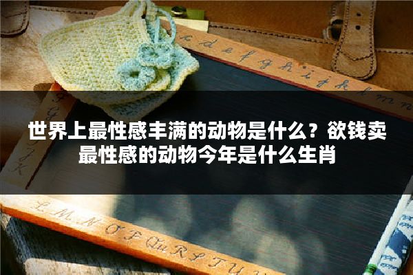 世界上最性感丰满的动物是什么？欲钱卖最性感的动物今年是什么生肖