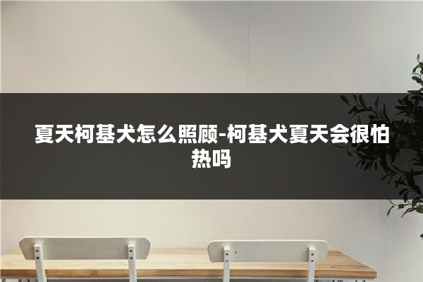 夏天柯基犬怎么照顾-柯基犬夏天会很怕热吗