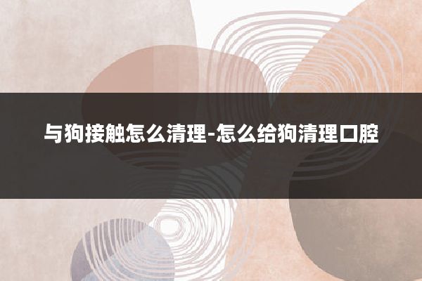 与狗接触怎么清理-怎么给狗清理口腔