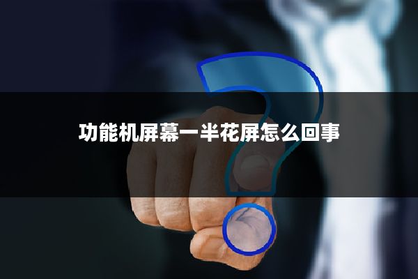 功能机屏幕一半花屏怎么回事