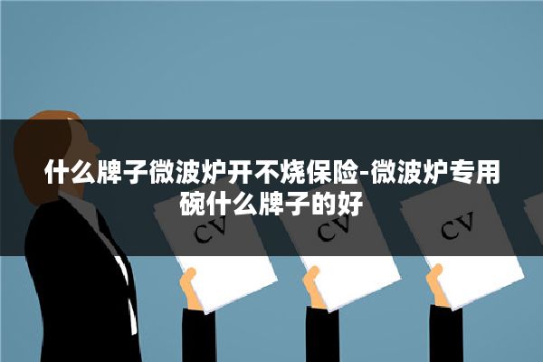 什么牌子微波炉开不烧保险-微波炉专用碗什么牌子的好