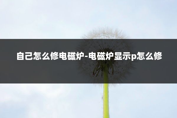 自己怎么修电磁炉-电磁炉显示p怎么修