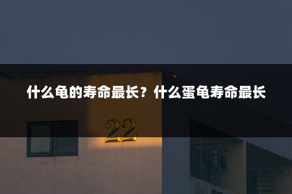 什么龟的寿命最长?什么蛋龟寿命最长