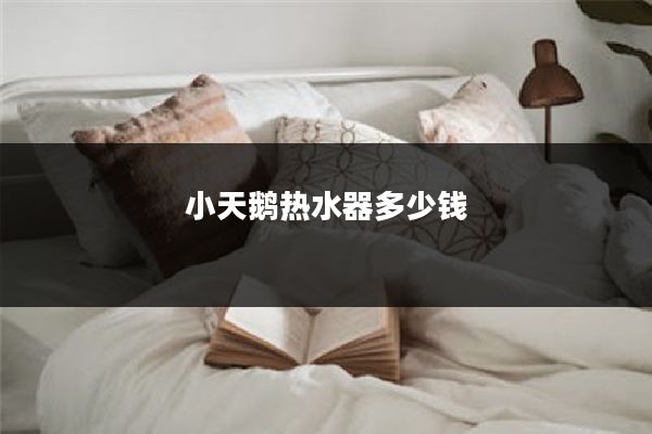 小天鹅热水器多少钱
