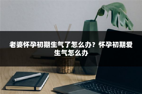 老婆怀孕初期生气了怎么办?怀孕初期爱生气怎么办