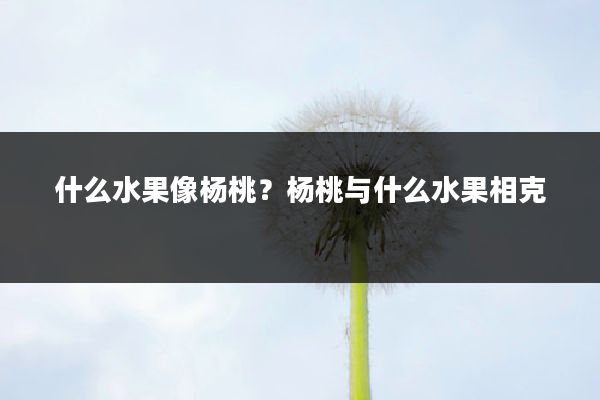 什么水果像杨桃？杨桃与什么水果相克