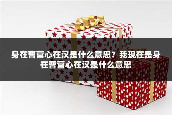 身在曹营心在汉是什么意思?我现在是身在曹营心在汉是什么意思