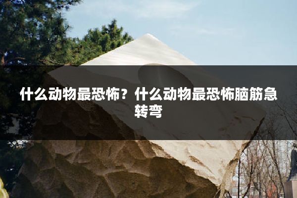什么动物最恐怖?什么动物最恐怖脑筋急转弯