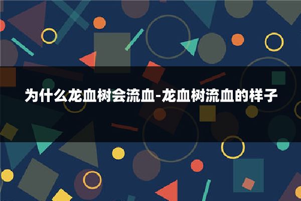 为什么龙血树会流血-龙血树流血的样子