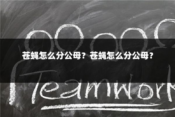 苍蝇怎么分公母?苍蝇怎么分公母?