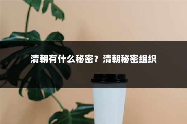 清朝有什么秘密？清朝秘密组织