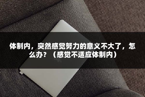 体制内，突然感觉努力的意义不大了，怎么办？（感觉不适应体制内）