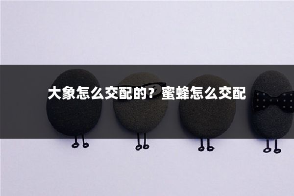 大象怎么交配的？蜜蜂怎么交配