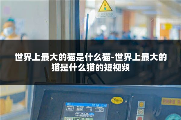 世界上最大的猫是什么猫-世界上最大的猫是什么猫的短视频