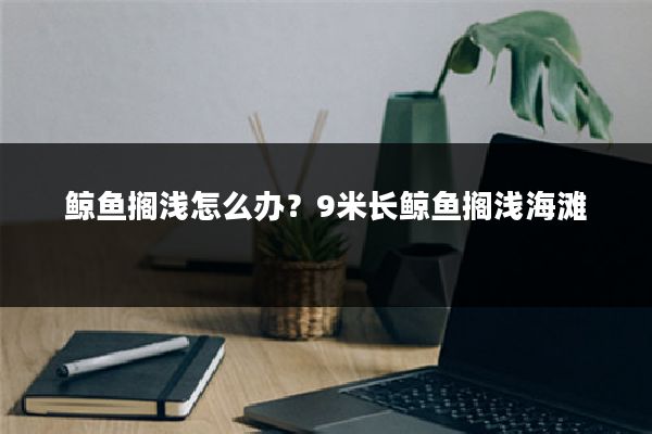 鲸鱼搁浅怎么办?9米长鲸鱼搁浅海滩