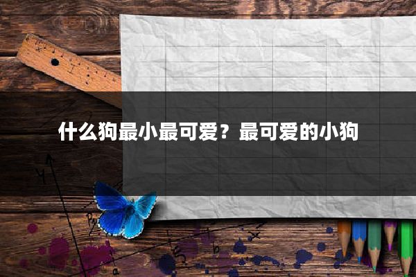 什么狗最小最可爱?最可爱的小狗
