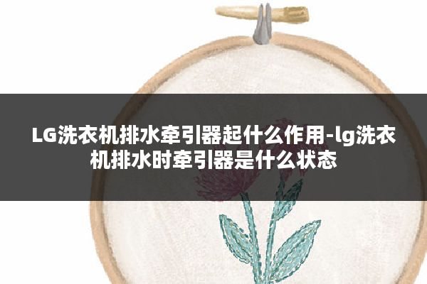 LG洗衣机排水牵引器起什么作用-lg洗衣机排水时牵引器是什么状态