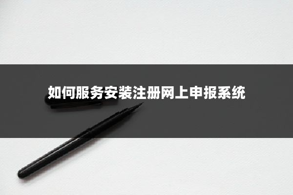 如何服务安装注册网上申报系统