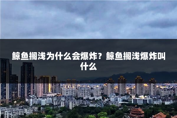 鲸鱼搁浅为什么会爆炸？鲸鱼搁浅爆炸叫什么