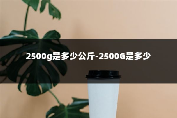 2500g是多少公斤-2500G是多少