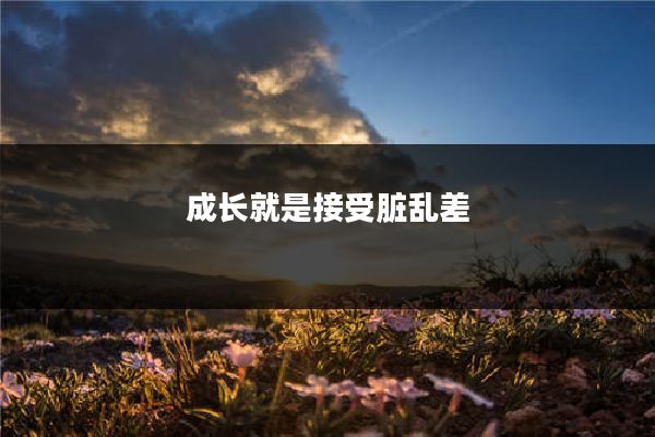 成长就是接受脏乱差