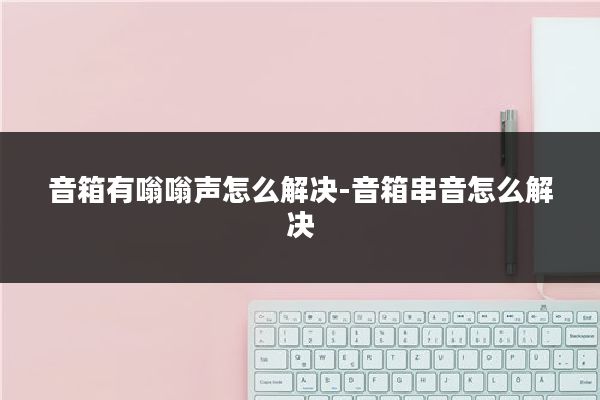 音箱有嗡嗡声怎么解决-音箱串音怎么解决