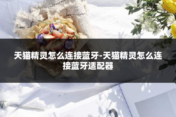 天猫精灵怎么连接蓝牙-天猫精灵怎么连接蓝牙适配器