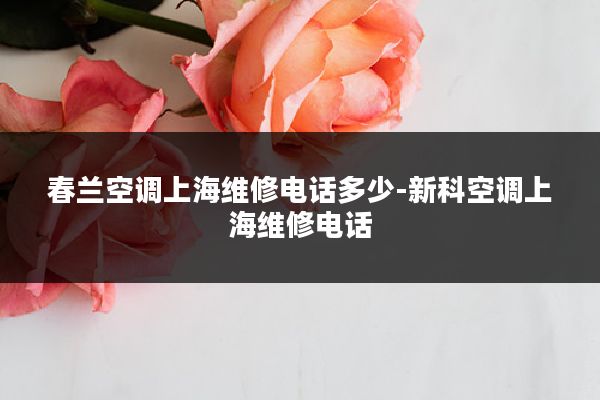 春兰空调上海维修电话多少-新科空调上海维修电话