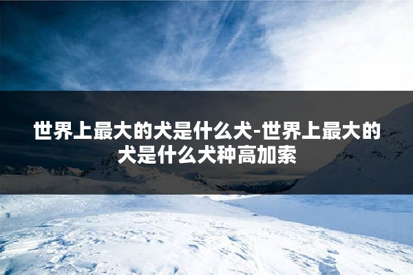 世界上最大的犬是什么犬-世界上最大的犬是什么犬种高加索