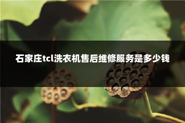 石家庄tcl洗衣机售后维修服务是多少钱