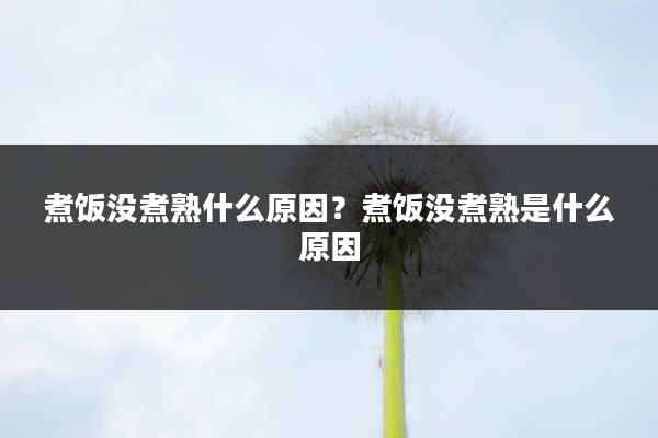 煮饭没煮熟什么原因？煮饭没煮熟是什么原因