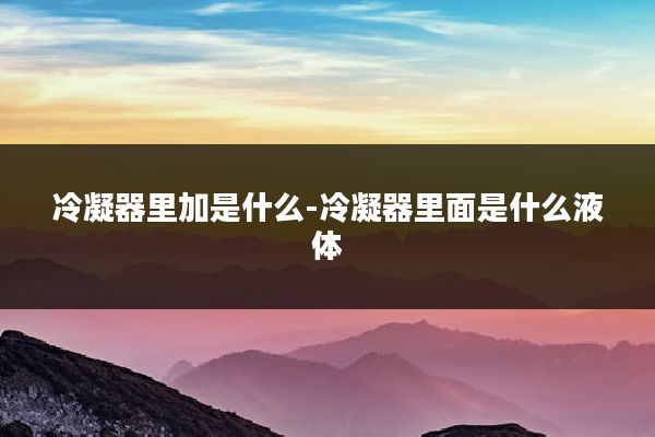 冷凝器里加是什么-冷凝器里面是什么液体