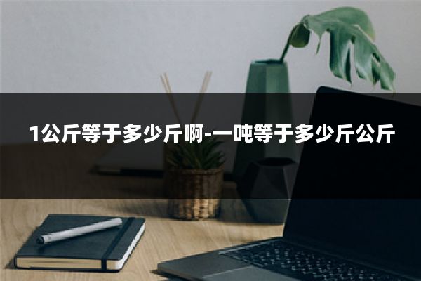 1公斤等于多少斤啊-一吨等于多少斤公斤