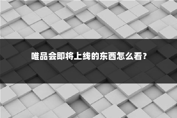 唯品会即将上线的东西怎么看？