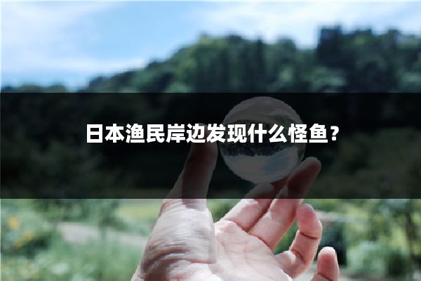 日本渔民岸边发现什么怪鱼?