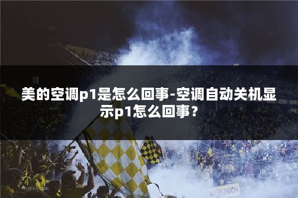 美的空调p1是怎么回事-空调自动关机显示p1怎么回事？