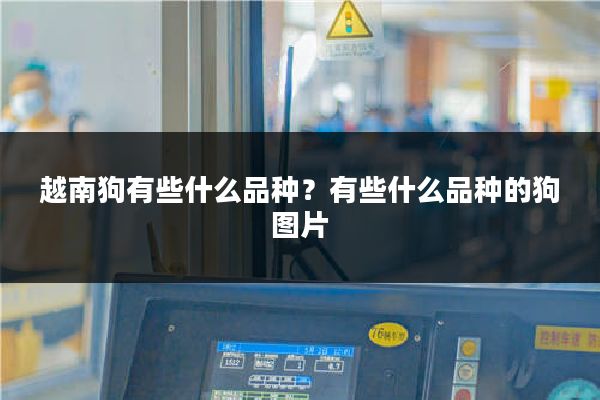 越南狗有些什么品种？有些什么品种的狗图片