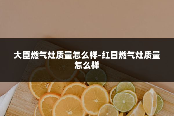 大臣燃气灶质量怎么样-红日燃气灶质量怎么样