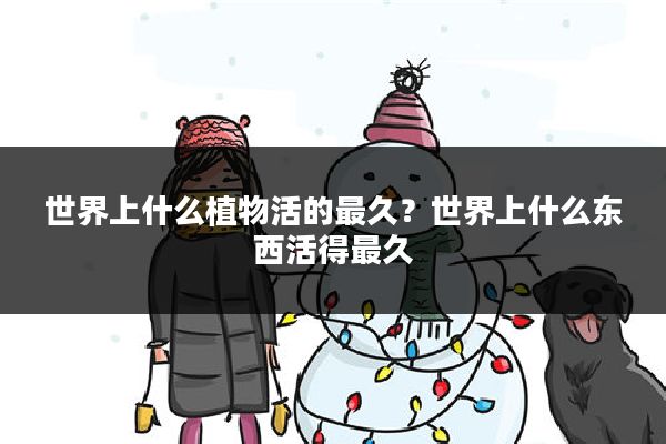 世界上什么植物活的最久?世界上什么东西活得最久