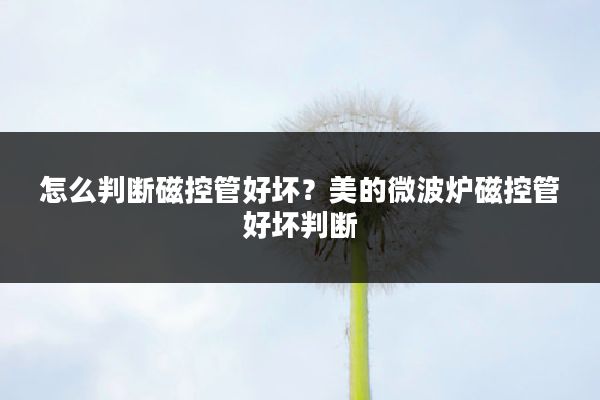 怎么判断磁控管好坏?美的微波炉磁控管好坏判断