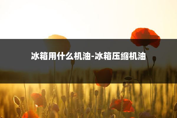 冰箱用什么机油-冰箱压缩机油