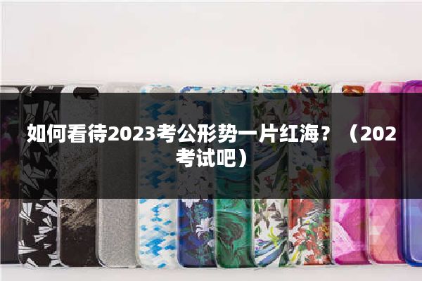 如何看待2023考公形势一片红海？（202考试吧）