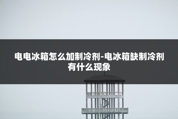 电电冰箱怎么加制冷剂-电冰箱缺制冷剂有什么现象