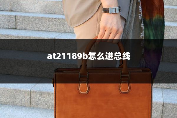 at21189b怎么进总线