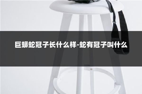 巨蟒蛇冠子长什么样-蛇有冠子叫什么