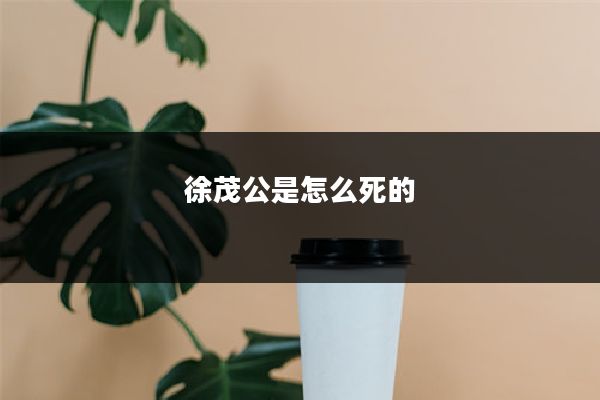 徐茂公是怎么死的