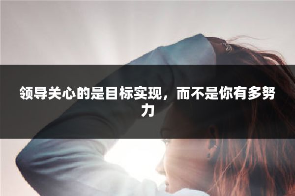 领导关心的是目标实现，而不是你有多努力