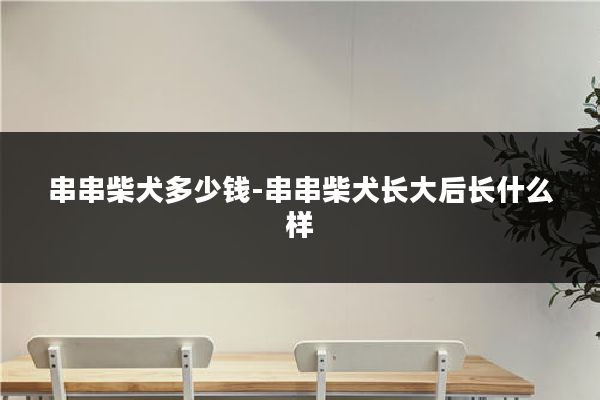 串串柴犬多少钱-串串柴犬长大后长什么样