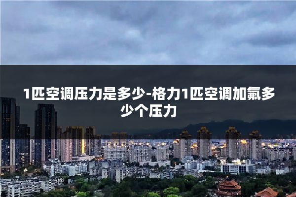 1匹空调压力是多少-格力1匹空调加氟多少个压力
